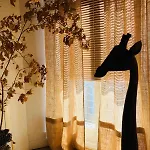 Casita El Lobo Pensjonat
